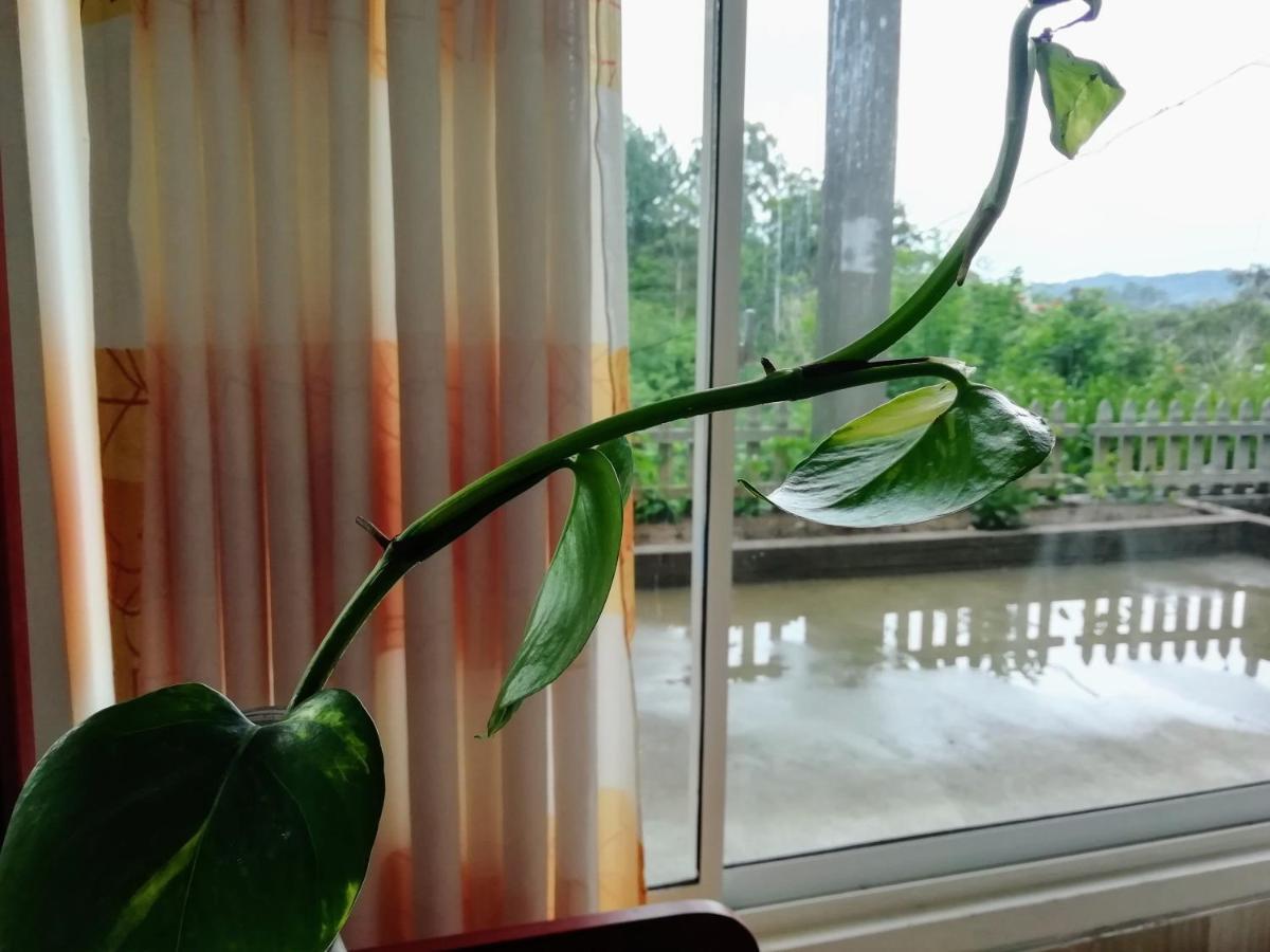Ella Delightful Surround Homestay Екстериор снимка
